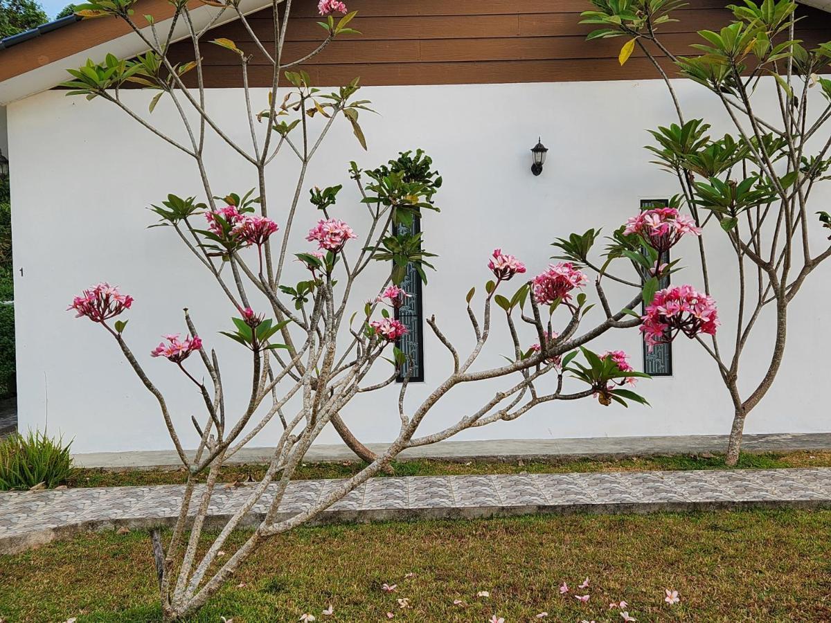 Appartement Halcyon Days @ Langkawi à Pantai Cenang  Extérieur photo